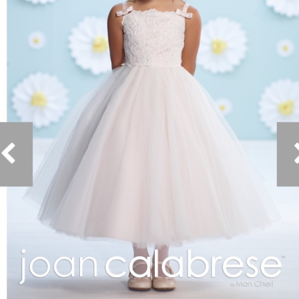 Flower girl dress Mon Cheri bridal nwt